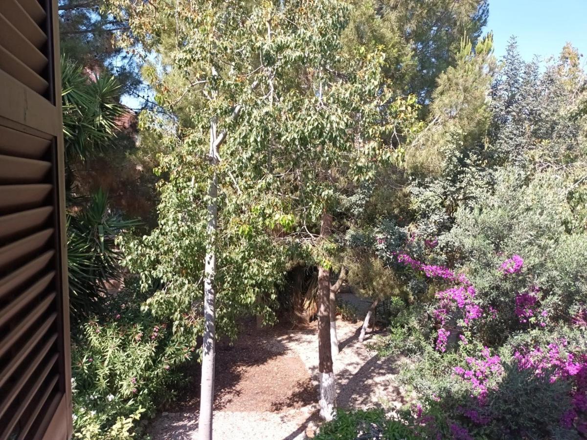 Limnaria Deluxe Maisonette Paphos Eksteriør billede